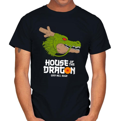 House of the dragon - Mens T-Shirts RIPT Apparel Small / Black