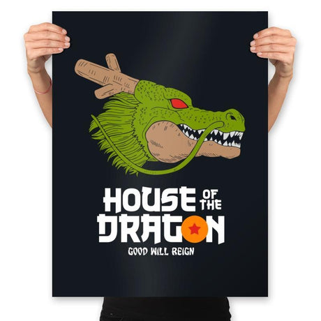 House of the dragon - Prints Posters RIPT Apparel 18x24 / Black