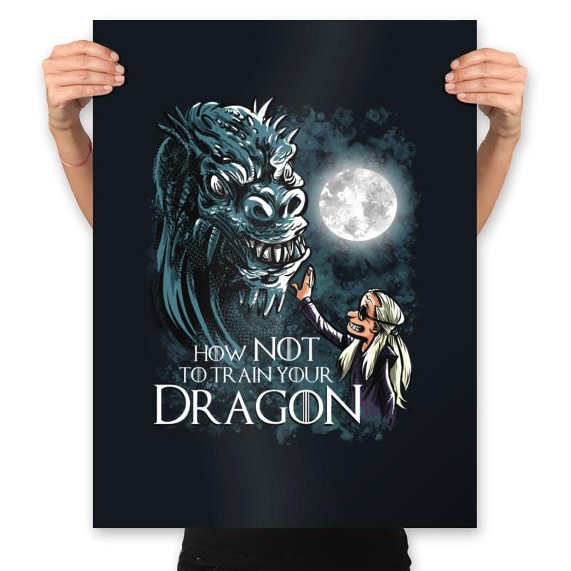 How Not to Train Your Dragon - Prints Posters RIPT Apparel 18x24 / Black