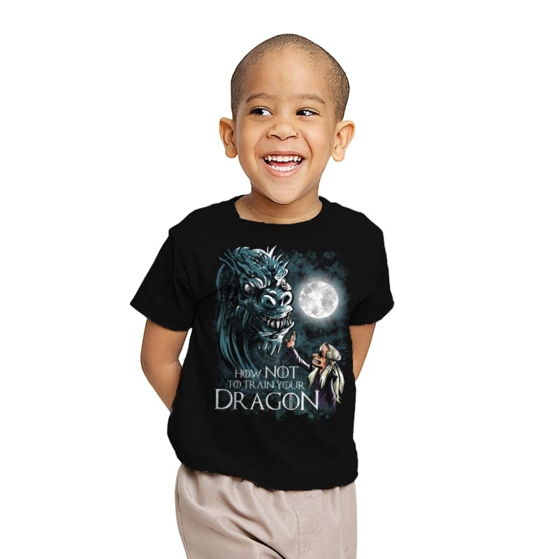 How Not to Train Your Dragon - Youth T-Shirts RIPT Apparel X-small / Black