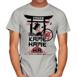 Kame School Of Martial Arts - Mens T-Shirts RIPT Apparel Small / Ice Grey