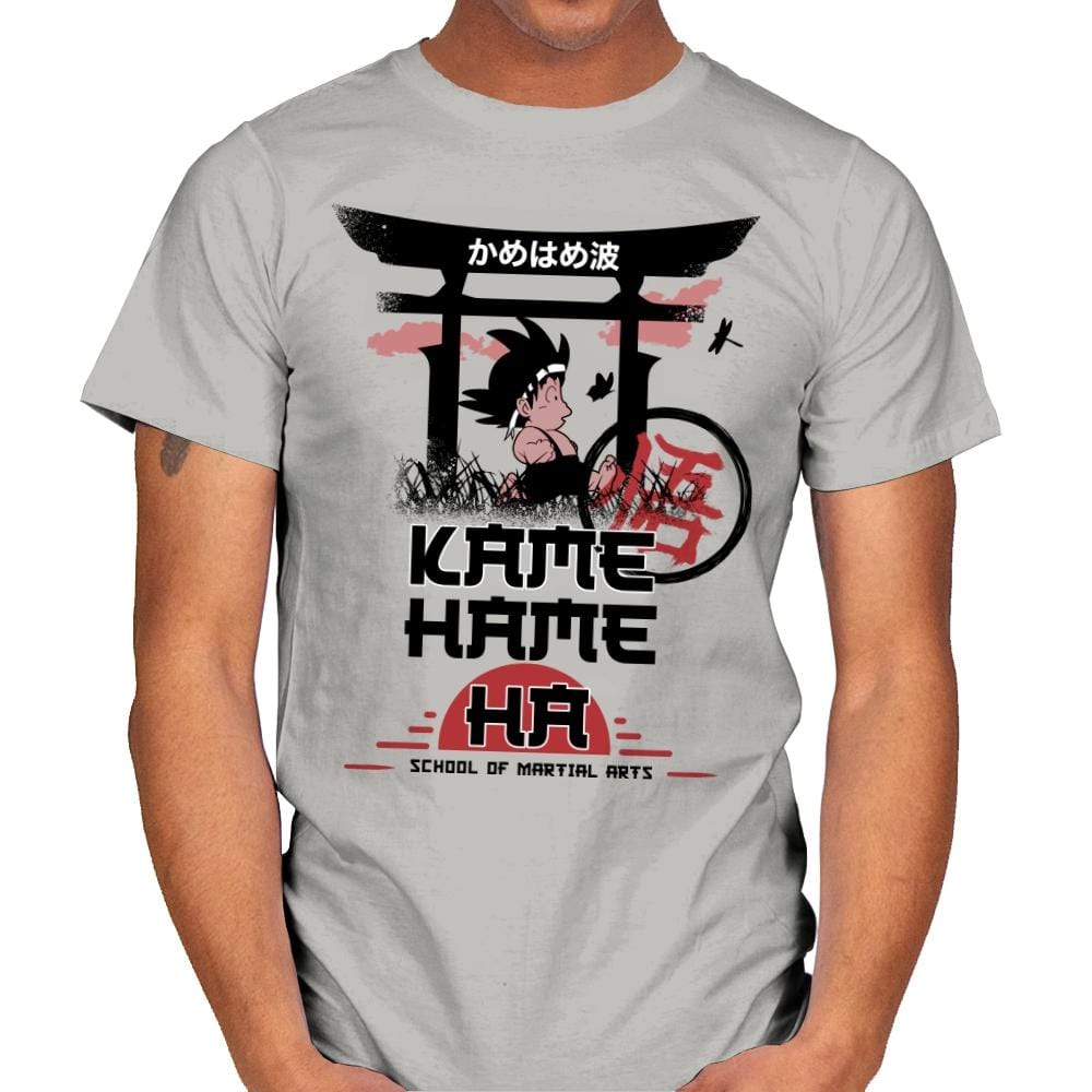 Kame School Of Martial Arts - Mens T-Shirts RIPT Apparel Small / Ice Grey