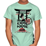 Kame School Of Martial Arts - Mens T-Shirts RIPT Apparel Small / Mint Green