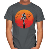 Karate Murray - Mens T-Shirts RIPT Apparel Small / Charcoal