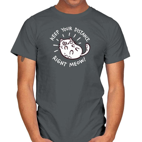 Keep Your Distance Right Meow - Mens T-Shirts RIPT Apparel Small / Charcoal