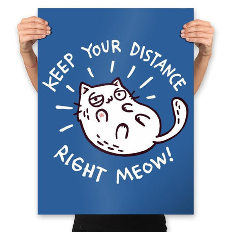 Keep Your Distance Right Meow - Prints Posters RIPT Apparel 18x24 / Royal
