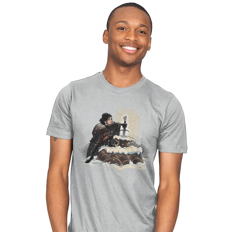 King In The North - Mens T-Shirts RIPT Apparel