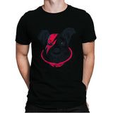 Laika Stardust - Mens Premium T-Shirts RIPT Apparel Small / Black