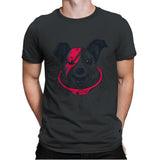 Laika Stardust - Mens Premium T-Shirts RIPT Apparel Small / Heavy Metal