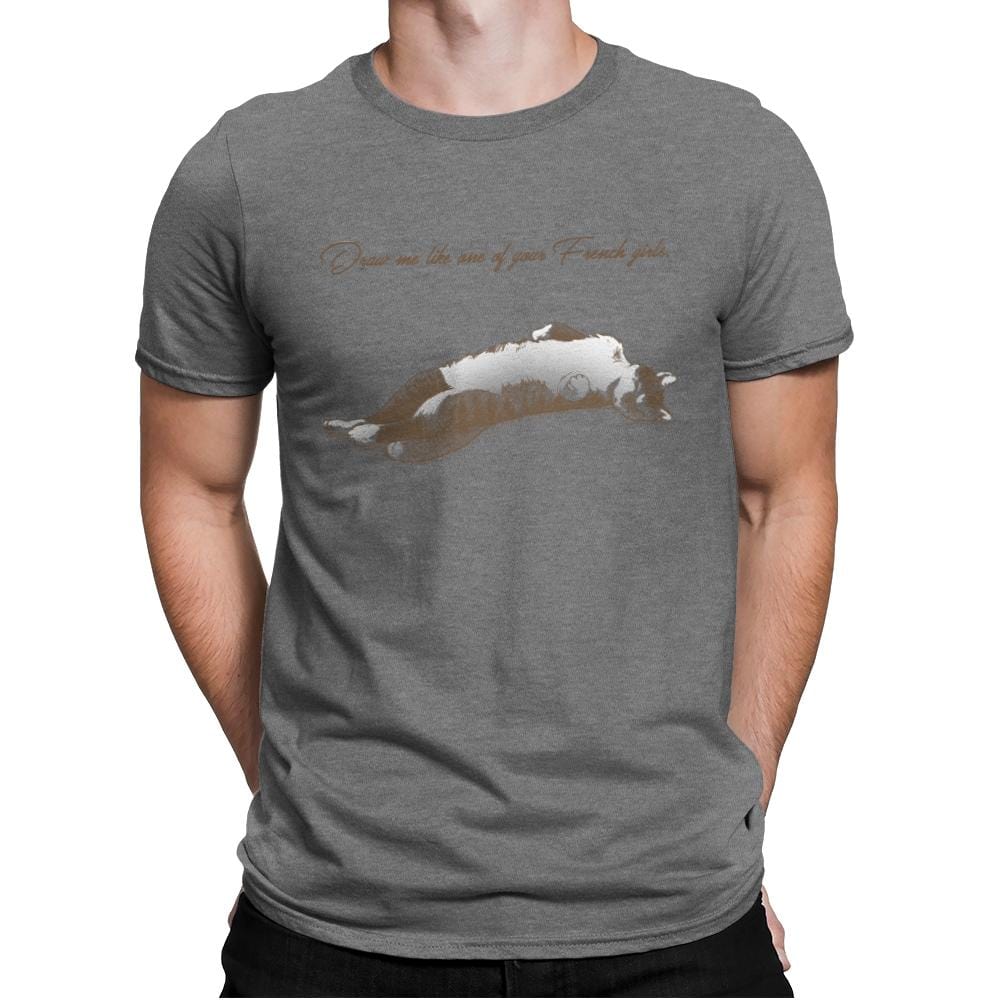 Like One of Your French Girls Exclusive - Mens Premium T-Shirts RIPT Apparel Small / Heather Grey
