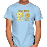 Lost Dog Exclusive - Mens T-Shirts RIPT Apparel Small / Light Blue