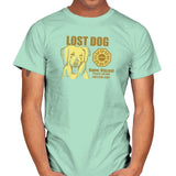 Lost Dog Exclusive - Mens T-Shirts RIPT Apparel Small / Mint Green
