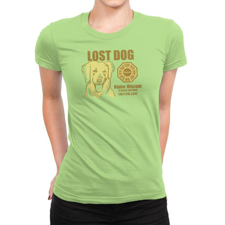 Lost Dog Exclusive - Womens Premium T-Shirts RIPT Apparel Small / Mint