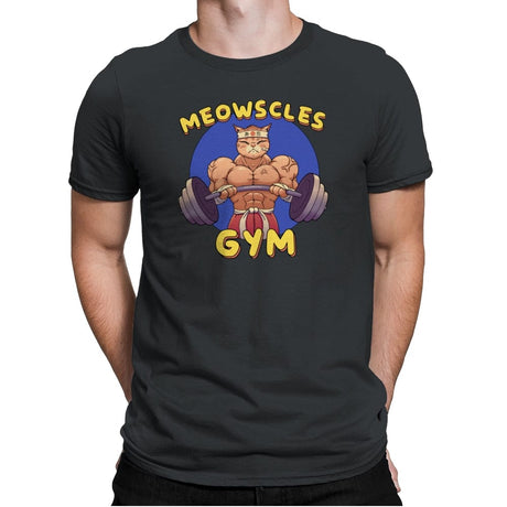 Meowscles Gym - Mens Premium T-Shirts RIPT Apparel Small / Heavy Metal