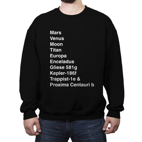 Migrating Away From Our Planet - Crew Neck Sweatshirt Crew Neck Sweatshirt RIPT Apparel Small / Black
