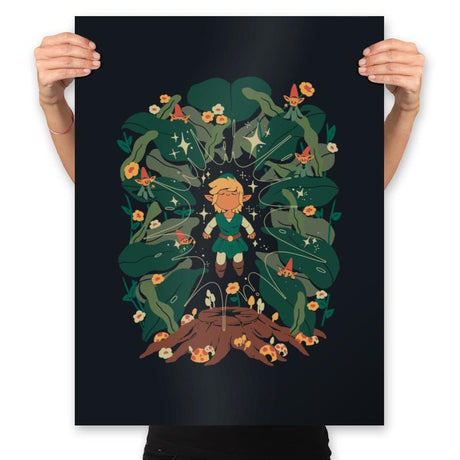 Minish Boy and Gnomes - Prints Posters RIPT Apparel 18x24 / Black