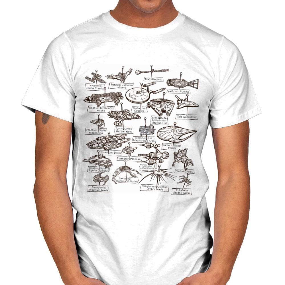 My Collection - Mens T-Shirts RIPT Apparel Small / White