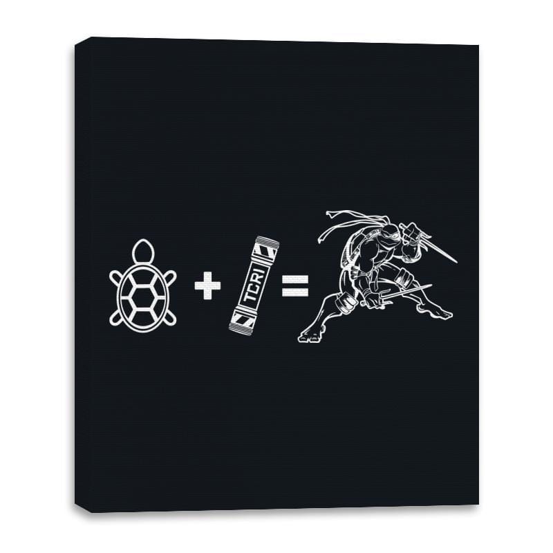 Ninja Turtle Equation - Canvas Wraps Canvas Wraps RIPT Apparel 16x20 / Black
