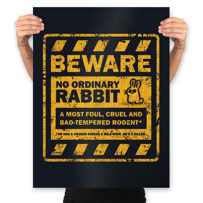 No Ordinary Rabbit - Prints Posters RIPT Apparel 18x24 / Black
