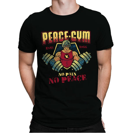 Peace Gym - Mens Premium T-Shirts RIPT Apparel Small / Black