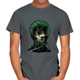 Pirate Hunter Fury - Mens T-Shirts RIPT Apparel Small / Charcoal
