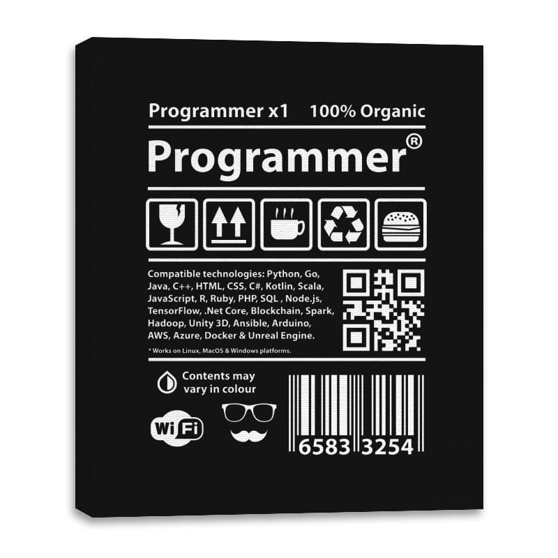 Programmer - Canvas Wraps Canvas Wraps RIPT Apparel 16x20 / Black