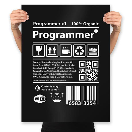 Programmer - Prints Posters RIPT Apparel 18x24 / Black