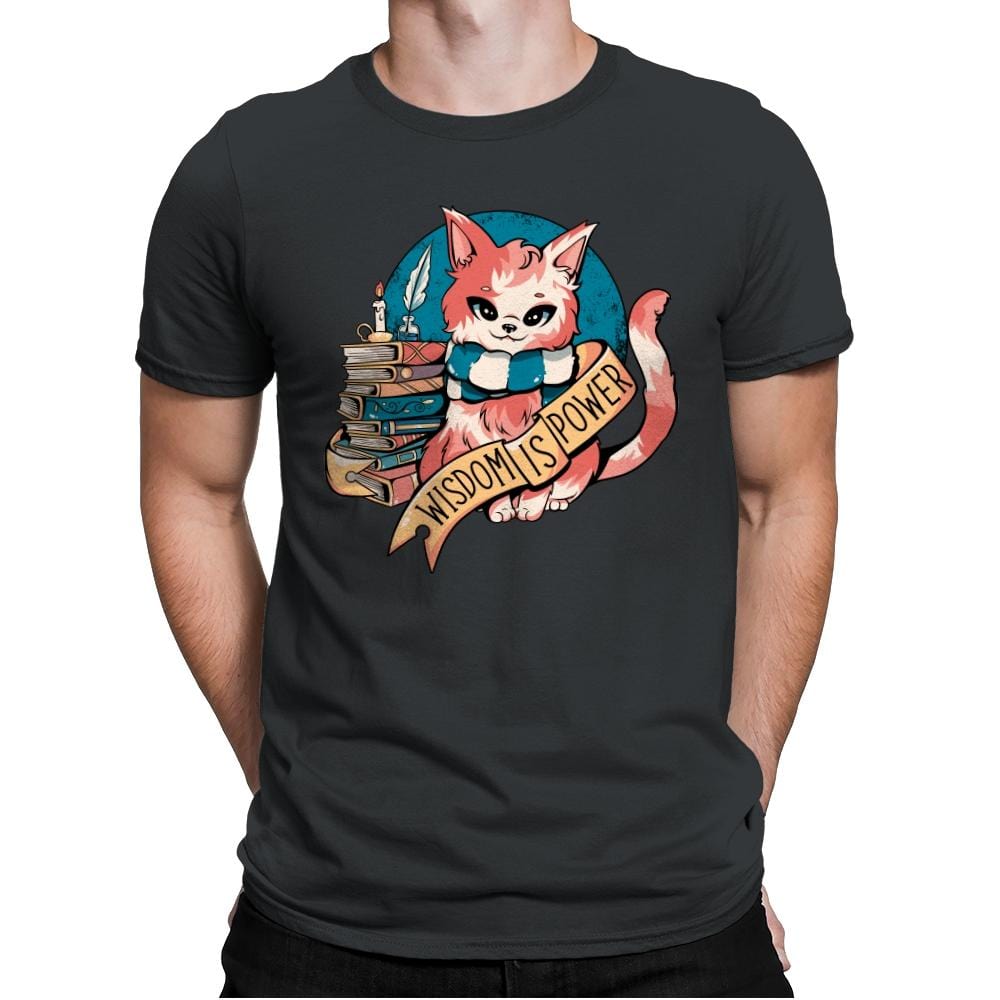 Raven Cat - Mens Premium T-Shirts RIPT Apparel Small / Heavy Metal