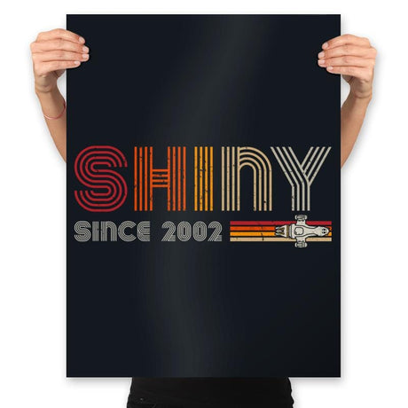 Shiny since 2002 - Prints Posters RIPT Apparel 18x24 / Black