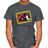 Spider Firends - Mens T-Shirts RIPT Apparel Small / Charcoal