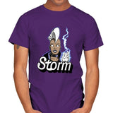 Stormie - Mens T-Shirts RIPT Apparel Small / Purple