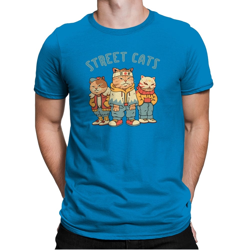 Street Cats - Mens Premium T-Shirts RIPT Apparel Small / Turqouise