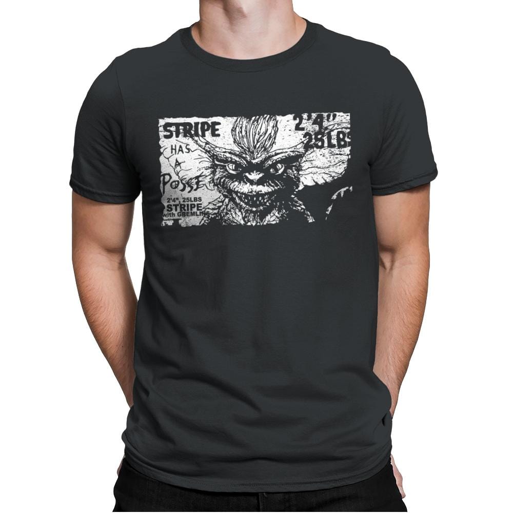 Stripe Has a Posse - Mens Premium T-Shirts RIPT Apparel Small / Heavy Metal