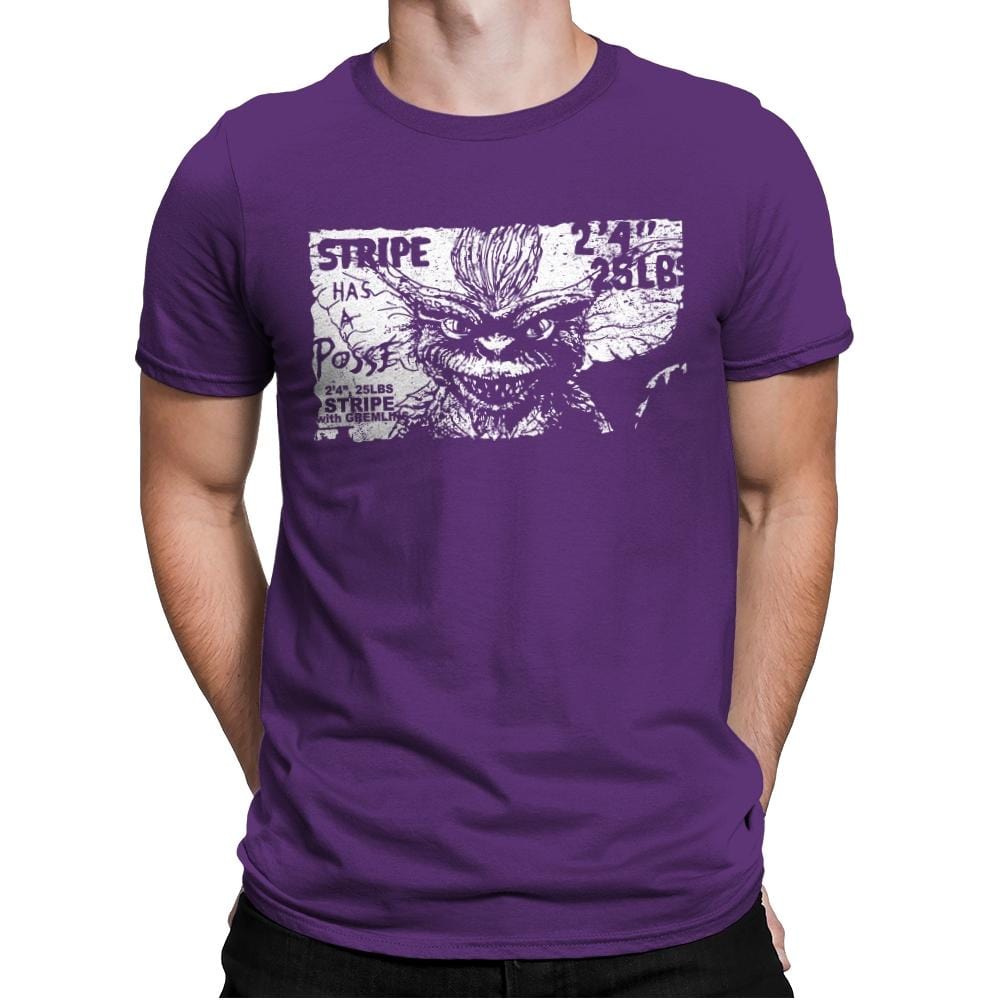 Stripe Has a Posse - Mens Premium T-Shirts RIPT Apparel Small / Purple Rush