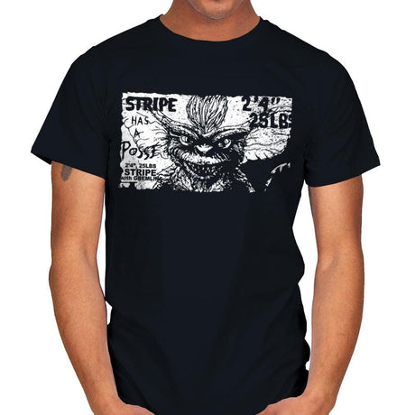 Stripe Has a Posse - Mens T-Shirts RIPT Apparel Small / Black