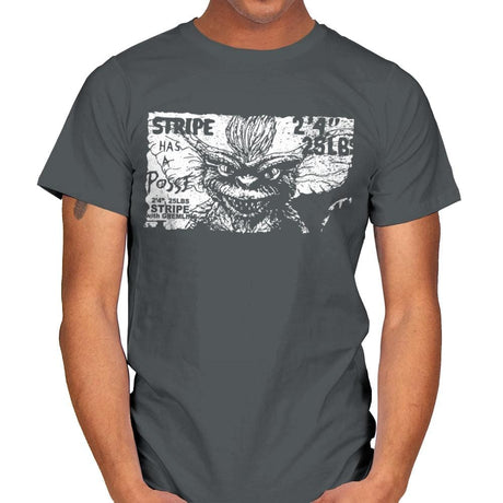 Stripe Has a Posse - Mens T-Shirts RIPT Apparel Small / Charcoal