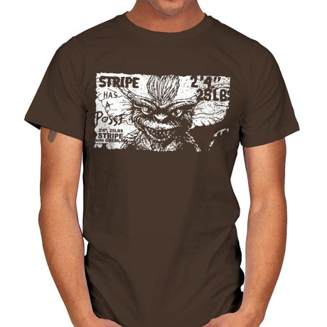 Stripe Has a Posse - Mens T-Shirts RIPT Apparel Small / Dark Chocolate