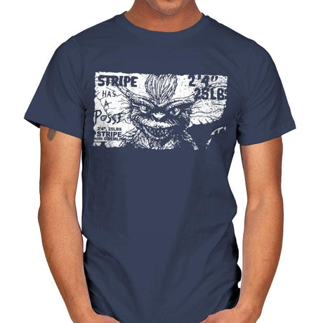 Stripe Has a Posse - Mens T-Shirts RIPT Apparel Small / Navy