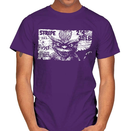 Stripe Has a Posse - Mens T-Shirts RIPT Apparel Small / Purple
