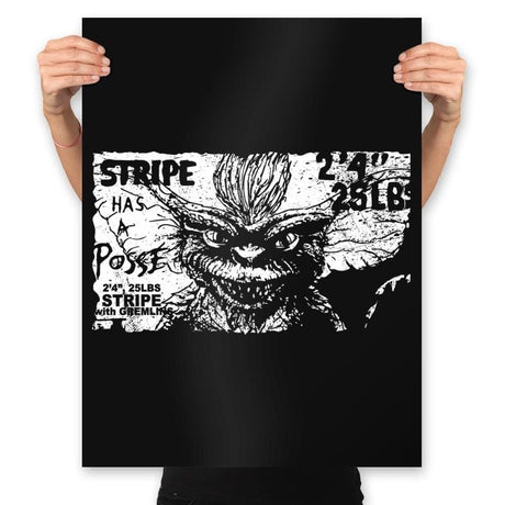 Stripe Has a Posse - Prints Posters RIPT Apparel 18x24 / Black