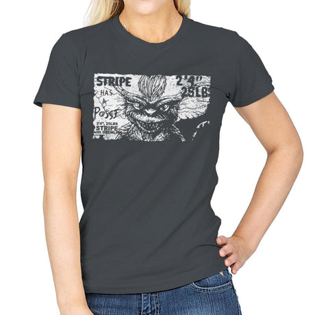 Stripe Has a Posse - Womens T-Shirts RIPT Apparel Small / Charcoal