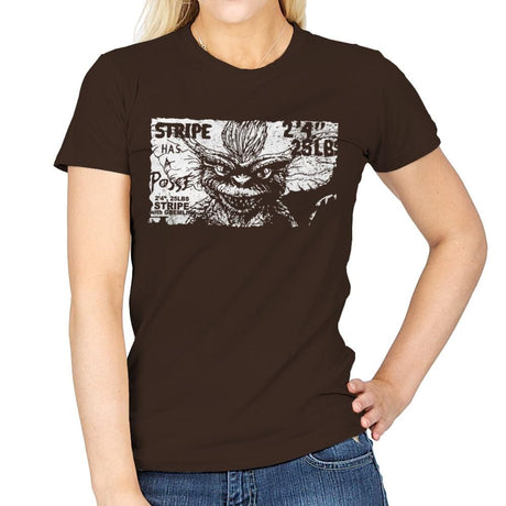 Stripe Has a Posse - Womens T-Shirts RIPT Apparel Small / Dark Chocolate