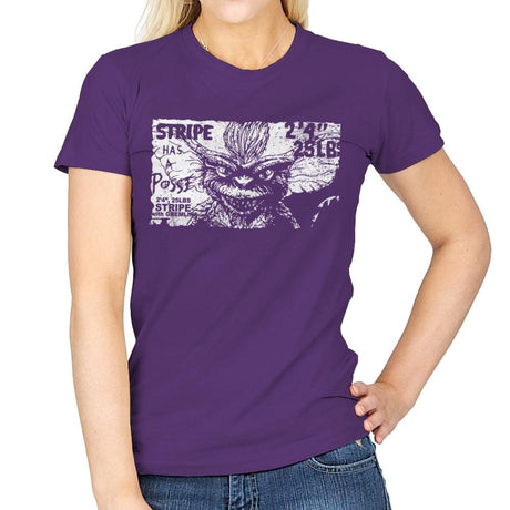 Stripe Has a Posse - Womens T-Shirts RIPT Apparel Small / Purple