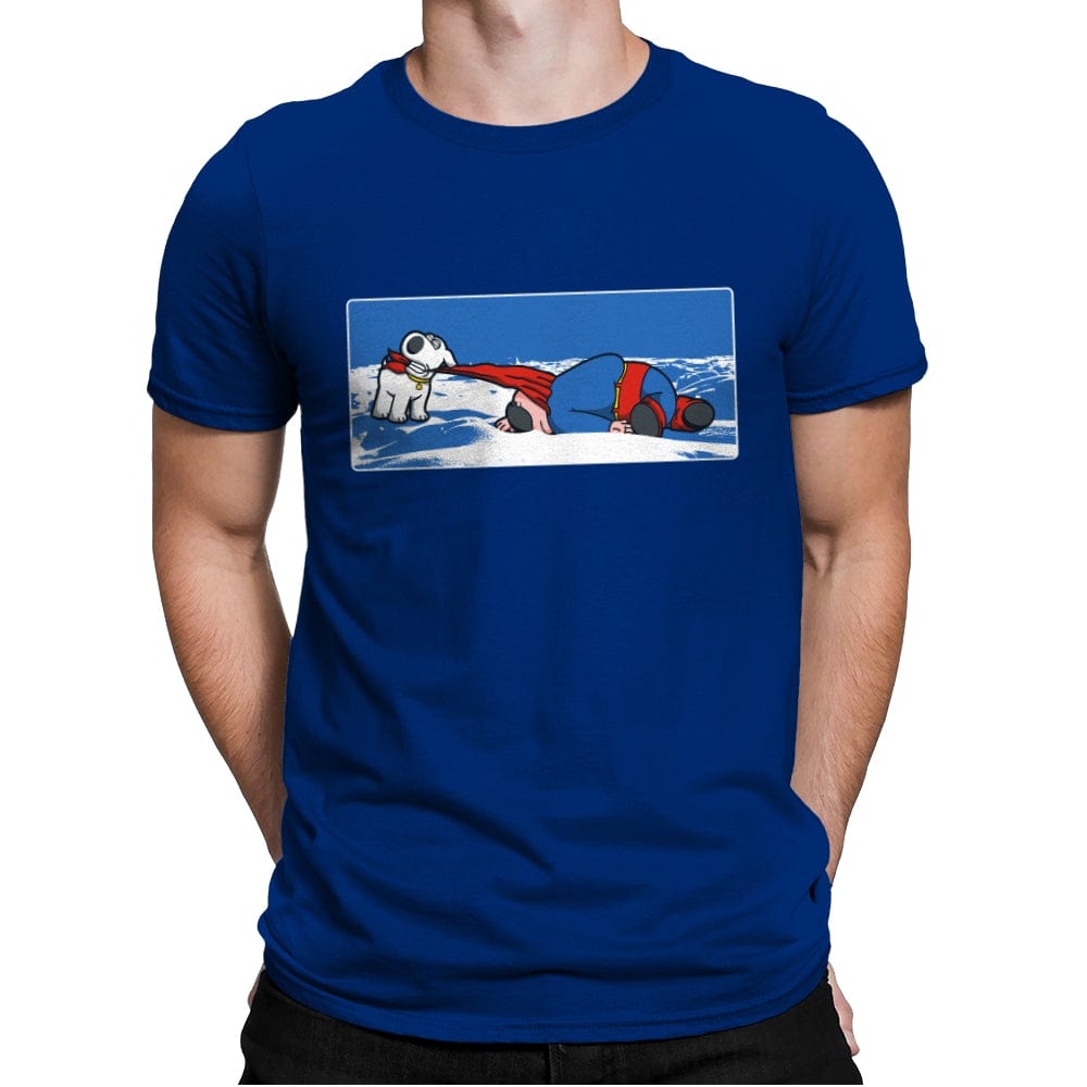 Take Me Home - Mens Premium T-Shirts RIPT Apparel Small / Royal