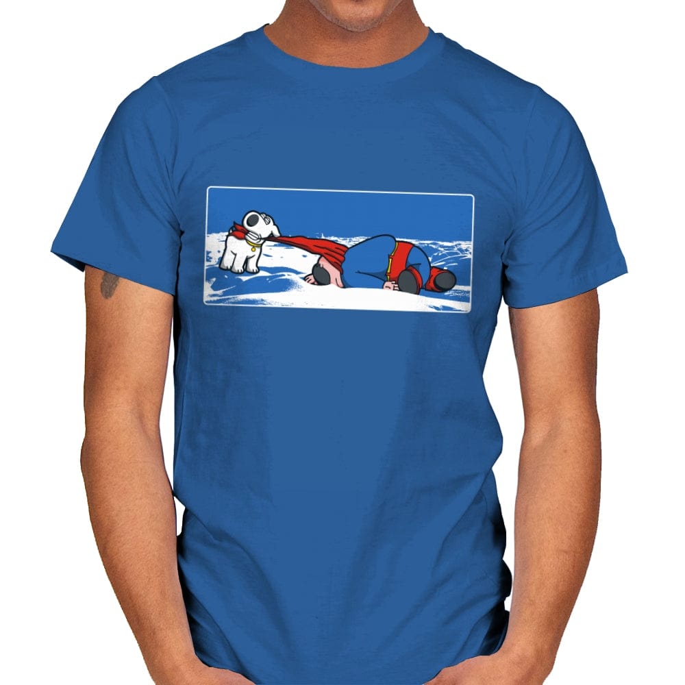 Take Me Home - Mens T-Shirts RIPT Apparel Small / Royal