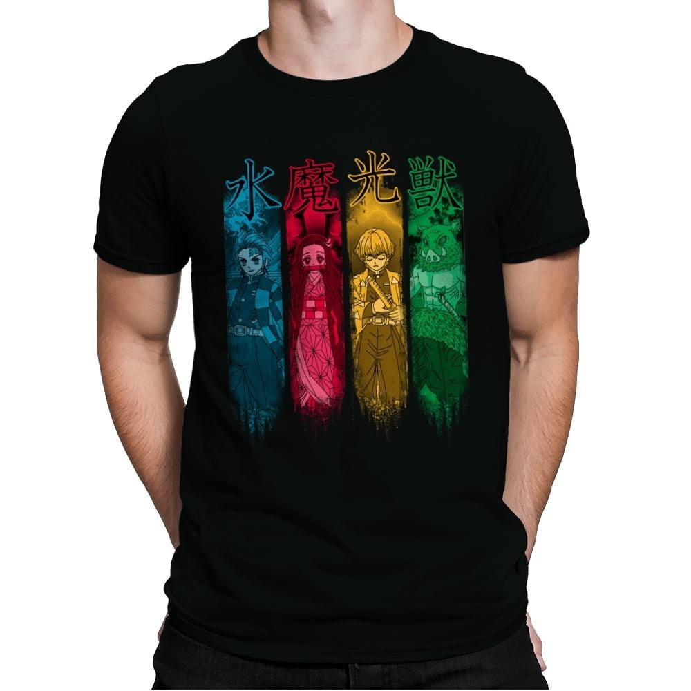 Team DS - Mens Premium T-Shirts RIPT Apparel Small / Black