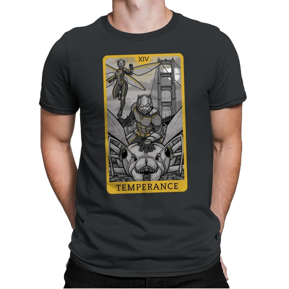 Temperance - Mens Premium T-Shirts RIPT Apparel Small / Heavy Metal