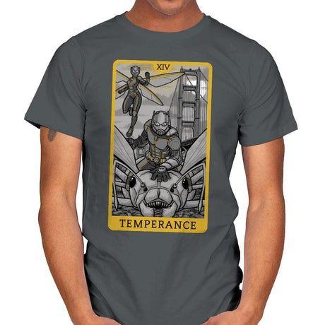 Temperance - Mens T-Shirts RIPT Apparel Small / Charcoal