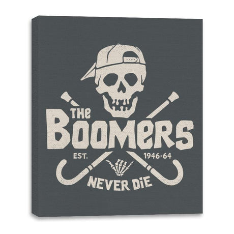 The Boomers - Canvas Wraps Canvas Wraps RIPT Apparel 16x20 / Charcoal