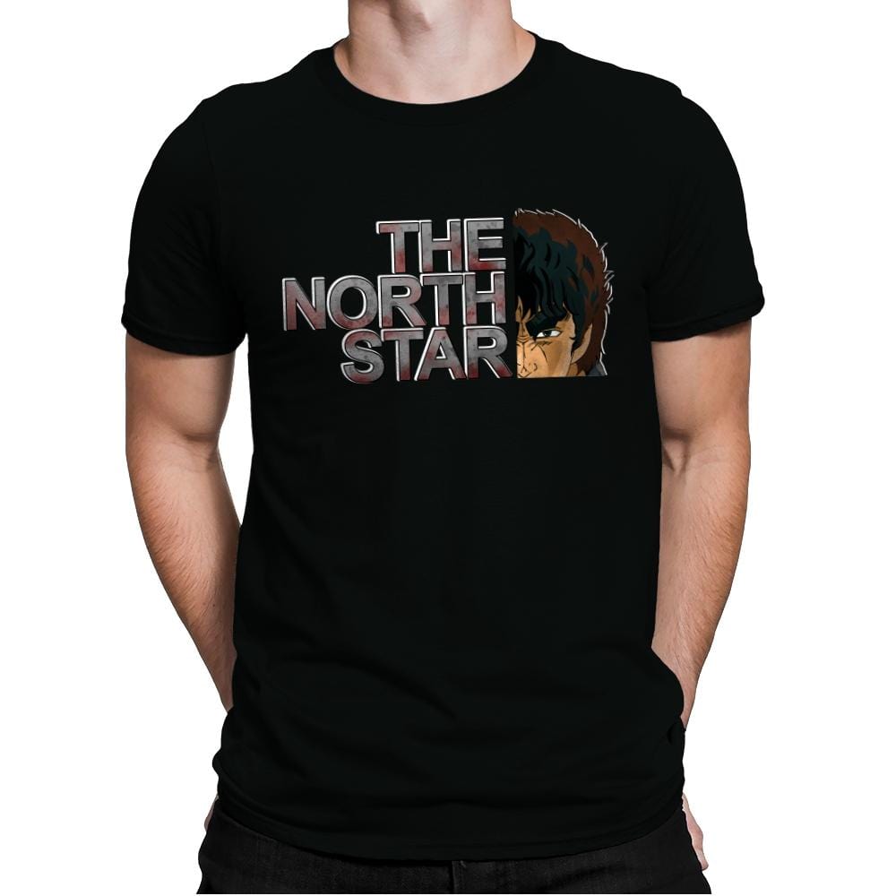 The North Star - Mens Premium T-Shirts RIPT Apparel Small / Black